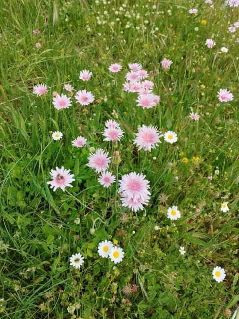 Nydri: Discover Local Culture, History & Beauty Guided Hike - Who This Tour Is Perfect For