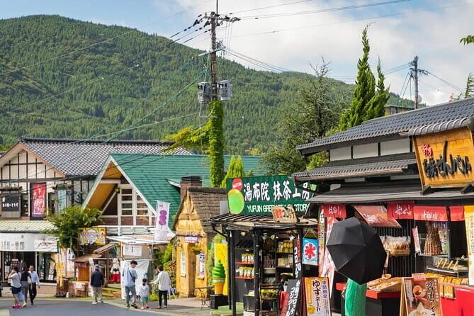 Nyoirinji Temple Beppu Hells and Yufuin Day Tour from Fukuoka - Transportation, Group Size, and Practicalities