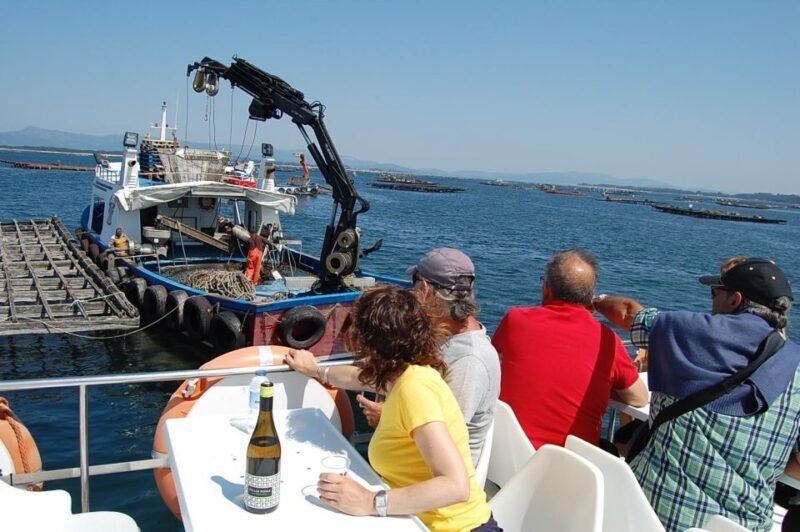 O Grove: Boat Tour at the Arousa estuary with mussel tasting - Who Will Love This Experience?