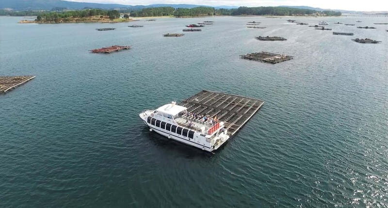 O Grove: Boat Tour with Mussel Tasting and Wine - An in-depth look at the experience