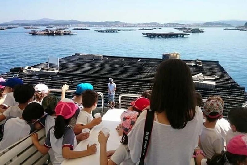 O Grove: Boat Tour with Mussel Tasting and Wine - Who is this tour best suited for?