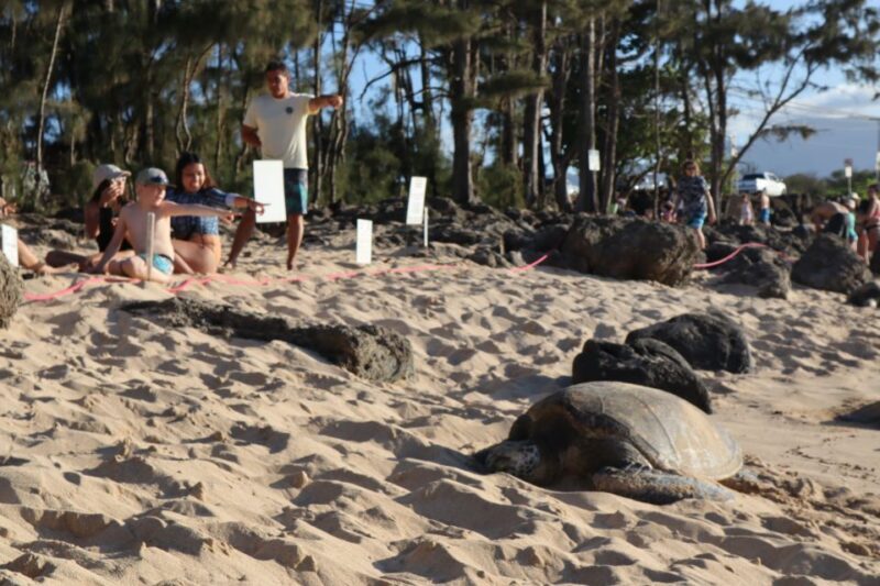 Oahu: Active Circle Island Tour - An In-Depth Look at the Oahu Active Circle Island Tour