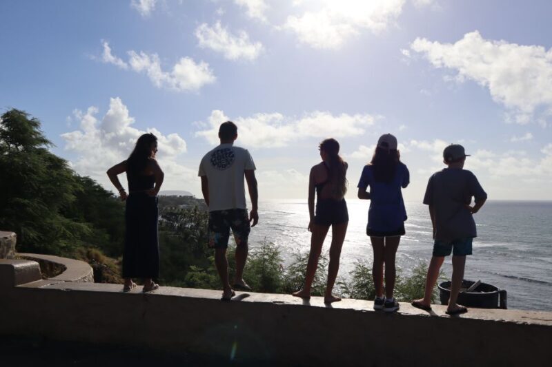Oahu: Active Circle Island Tour - Who Is This Tour Best For?