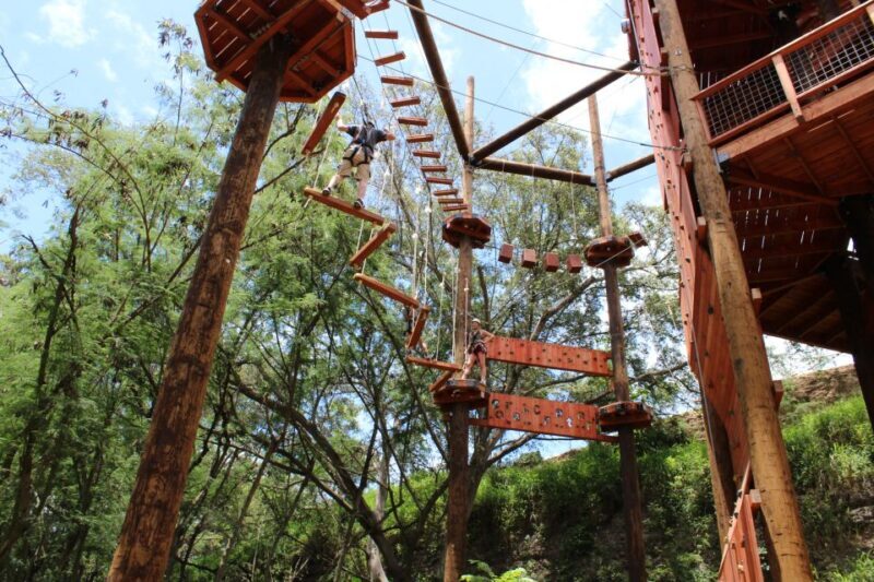 Oahu: Aerial Adventure, Climbing, & Freefall Experience - Key Points