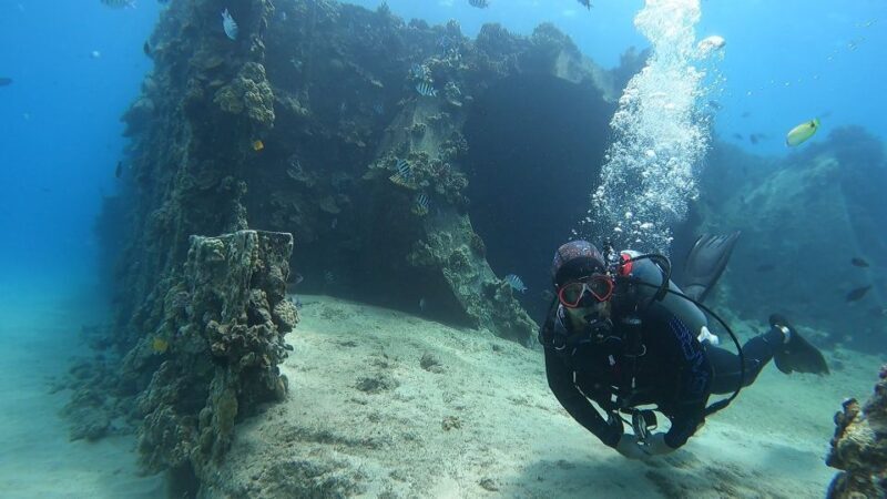 Oahu: Beginner SCUBA Dive at Electric Beach - A Practical Guide to the Electric Beach Beginner SCUBA Tour
