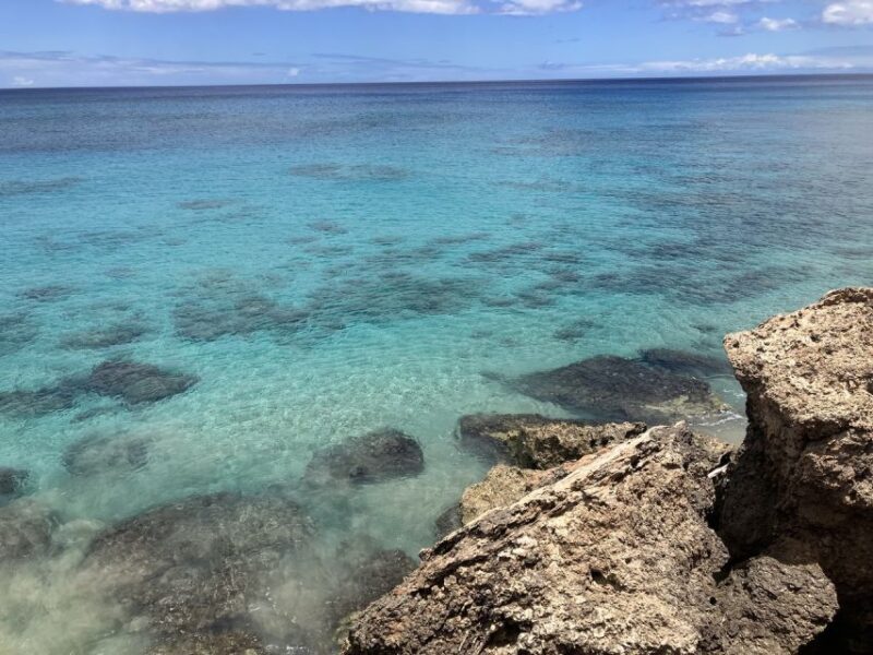 Oahu: Beginner SCUBA Dive at Electric Beach - FAQ
