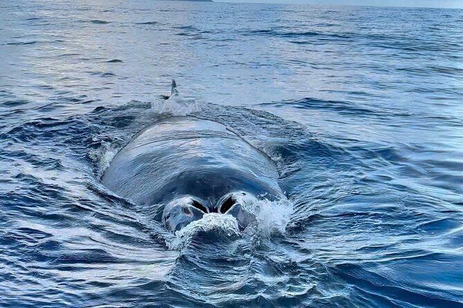 Oahu Boat Tour Ko Olina Experience - Final Thoughts: Is It Worth It?