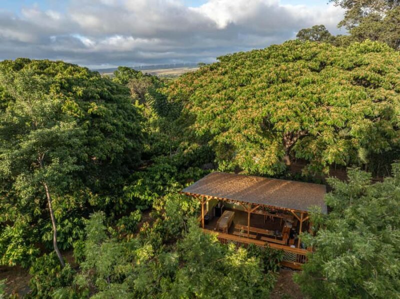 Oahu: Chocolate Farm Tour with Tasting - Kamananui Cacao - Practical Details for Visitors