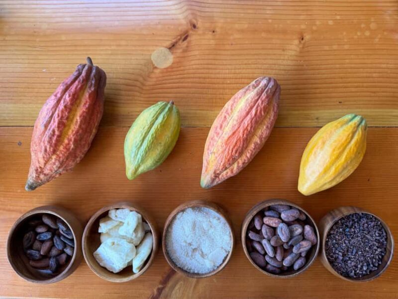 Oahu: Chocolate Farm Tour with Tasting - Kamananui Cacao - Final Thoughts
