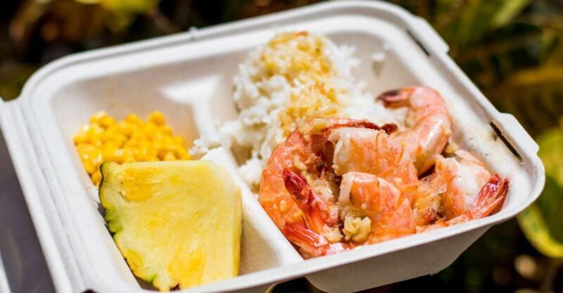 Oahu: Circle Island Day Trip with Shrimp Plate Lunch - A Deep Dive into the Oahu Circle Island Tour Experience