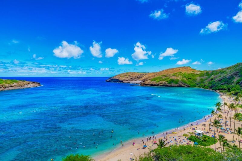 Oahu: Circle Island Top Sights Full-Day Tour w/ Local Guide - A Detailed Look at the Oahu Circle Island Tour