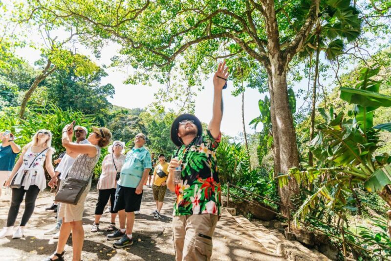 Oahu: Circle Island Tour with Lunch & Waimea Waterfall - Potential Drawbacks and Considerations