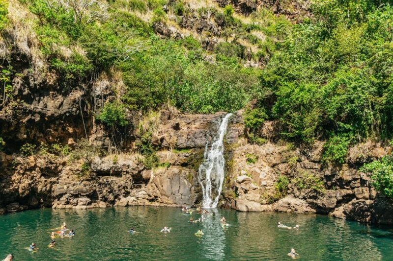 Oahu: Circle Island Tour with Lunch & Waimea Waterfall - The Bottom Line: Who Will Love This Tour?