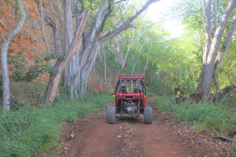 Oahu: Coral Crater Zipline and Offroad ATV Adventure - Is This Tour Worth It?