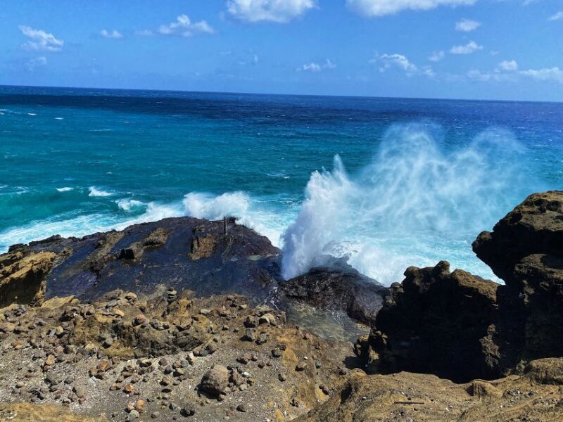 Oahu: Diamond Head Crater Hike and North Shore Experience - The Guide and Overall Experience
