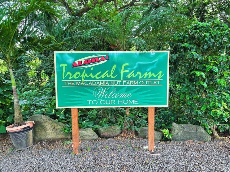 Oahu: Diamond Head Crater Hike and North Shore Experience - Who Will Love This Tour?