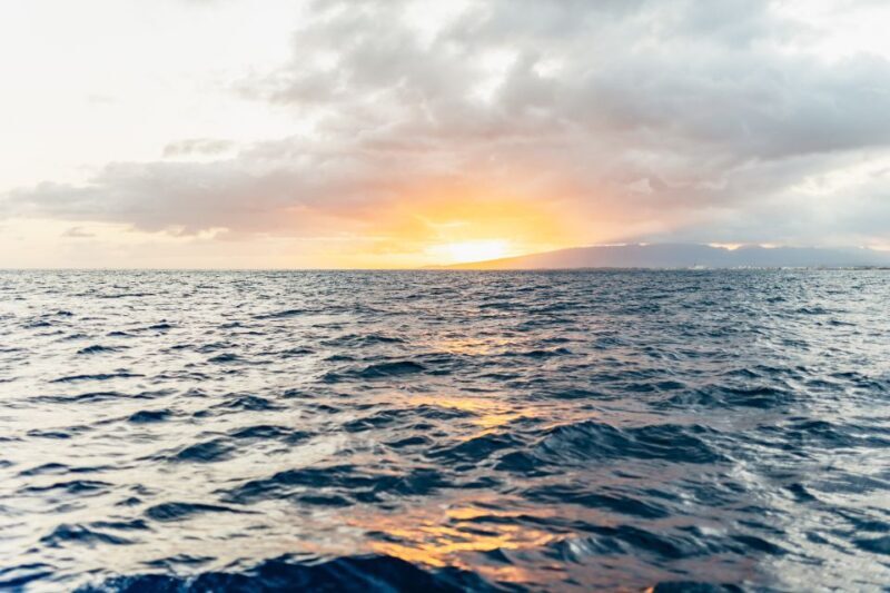 Oahu: Diamond Head Cruise with Drinks & Appetizers - The Practical Side
