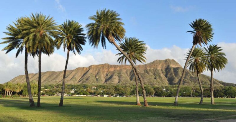 Oahu: Diamond Head Hike with Roundtrip Transportation - Authentic Experiences and Traveler Perspectives