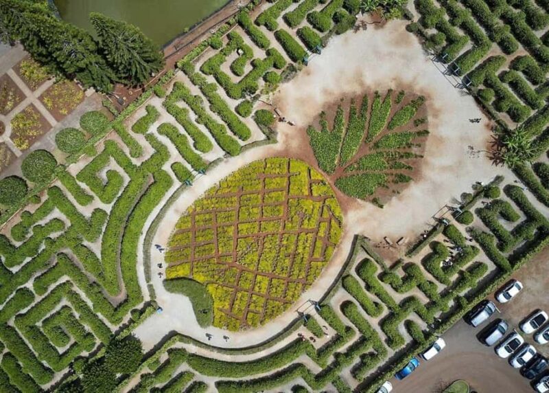 Oahu: Dole Plantation & Haleiwa Express Deluxe Tour - An In-Depth Look at the Tour Experience