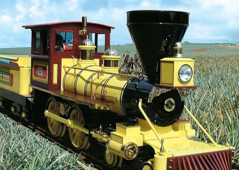 Oahu: Dole Plantation & Haleiwa Express Deluxe Tour - Who This Tour Is Best For