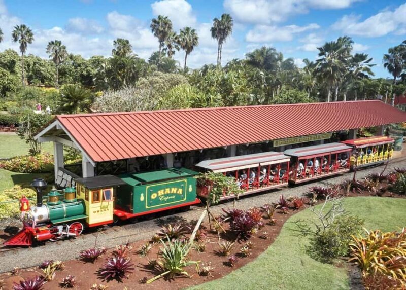 Oahu: Dole Plantation & Haleiwa Express Deluxe Tour - Final Thoughts