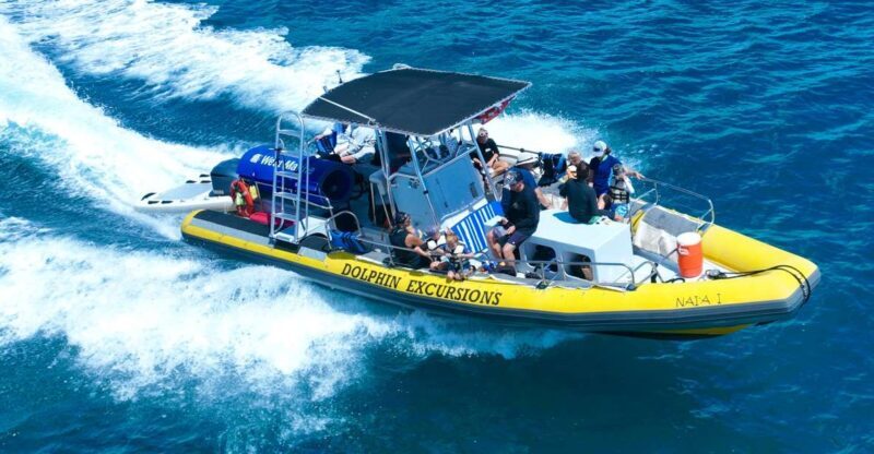 Oahu: Dolphin Swim and Turtle Snorkel Excursion in Waianae - Final Thoughts