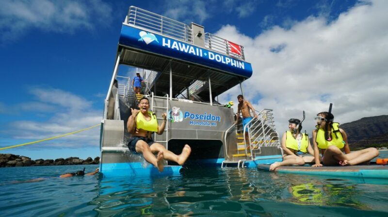 Oahu Dolphin Watch, Turtle Snorkel, Waterslide Activities - The Bottom Line