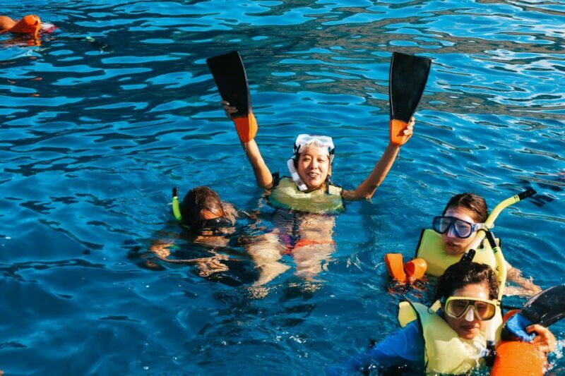 Oahu Dolphin Watch, Turtle Snorkel, Waterslide Activities - Final Thoughts: Who Will Love This Experience?