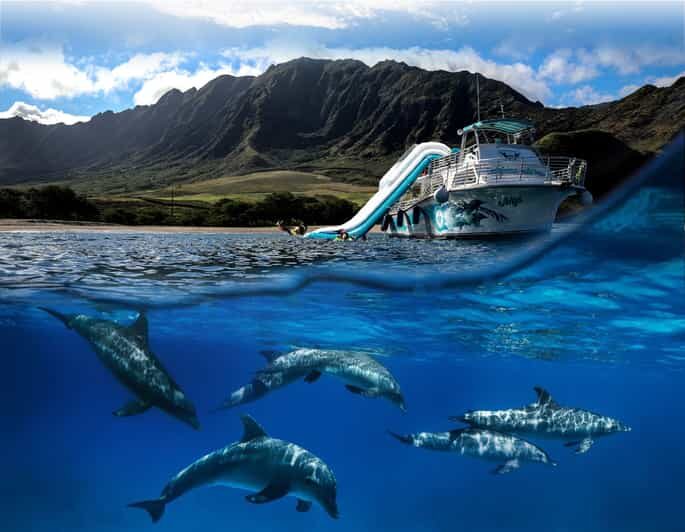 Oahu: Dolphin Watching & Turtle Snorkeling with Waterslide - Final Thoughts: Who Should Book This Tour?
