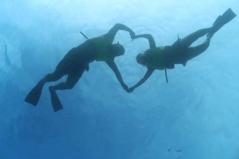 Oahu: Dolphin Watching & Turtle Snorkeling with Waterslide - Final Words