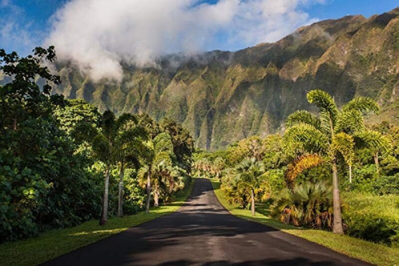Oahu East Coast to Mountain Slingshot Tour - FAQs
