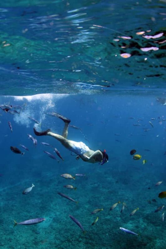 Oahu: EPIC Off Road Stand-Up ATV and Sunset Snorkel Cruise - An In-Depth Look at the Oahu EPIC Off Road and Sunset Cruise