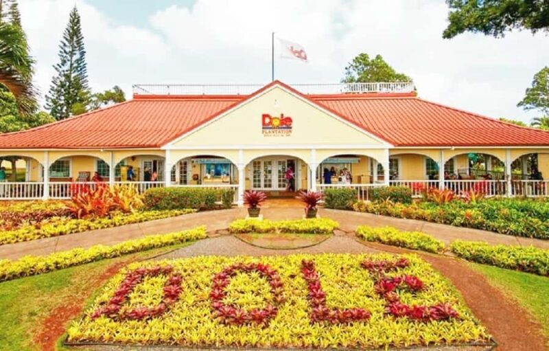 Oahu: Full-Day Tour with Snorkeling, Free Wi-Fi & Free Perks - An In-Depth Look at the Oahu Full-Day Tour