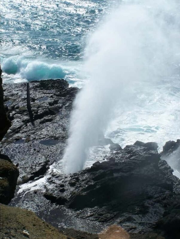 Oahu: Full-Day Tour with Snorkeling, Free Wi-Fi & Free Perks - Final Thoughts