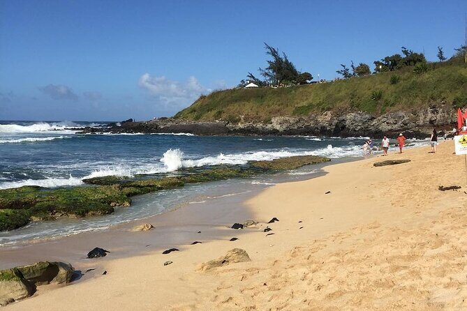 Oahu Grand Circle Island Tour Departing from Maui - A Detailed Look at the Oahu Grand Circle Island Tour