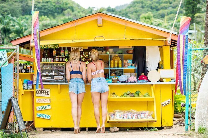 OAHU GRAND CIRCLE Waimea Waterfall, Turtle Beach, North Shore. - What the Tour Offers: A Deep Dive into the Itinerary