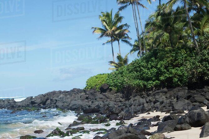 OAHU GRAND CIRCLE Waimea Waterfall, Turtle Beach, North Shore. - What the Reviews Tell Us