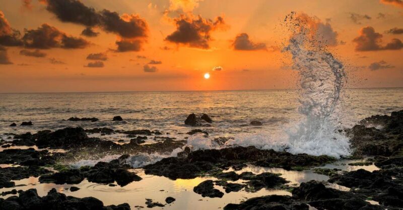 Oahu: Half-Day Sunrise Semi-private Tour from Waikiki - Authentic Experiences & Honest Feedback