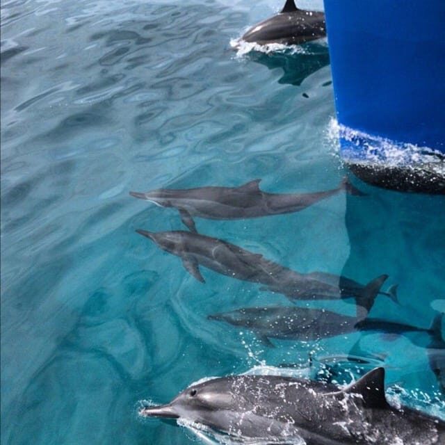 Oahu Hawaii: Honolulu Sailing Tour - Practical Tips for Travelers