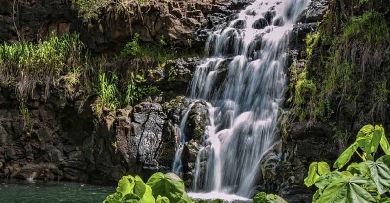 Oahu Hidden Gems & Waimea Botanical Garden/Waterfall tour - Key Points