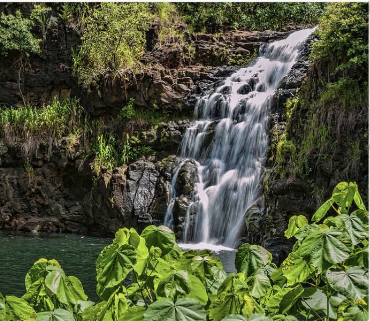 Oahu Hidden Gems & Waimea Botanical Garden/Waterfall tour - The Breakdown of the Itinerary