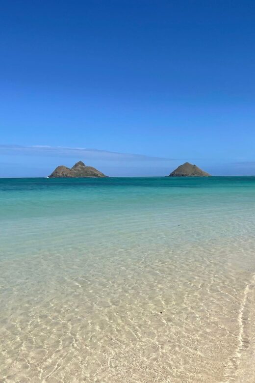 Oahu: Hidden Hawaii Waterfall Hike and Beach Tour - Authentic Insights from Travelers