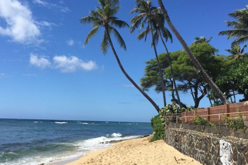 Oahu: Highlights of Oahu Small Group Tour - The Sum Up