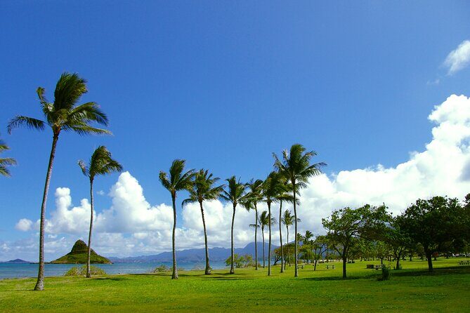 Oahu Highlights Private Guided Tour: Landmarks & Architecture - Thorough Breakdown of the Tour Experience