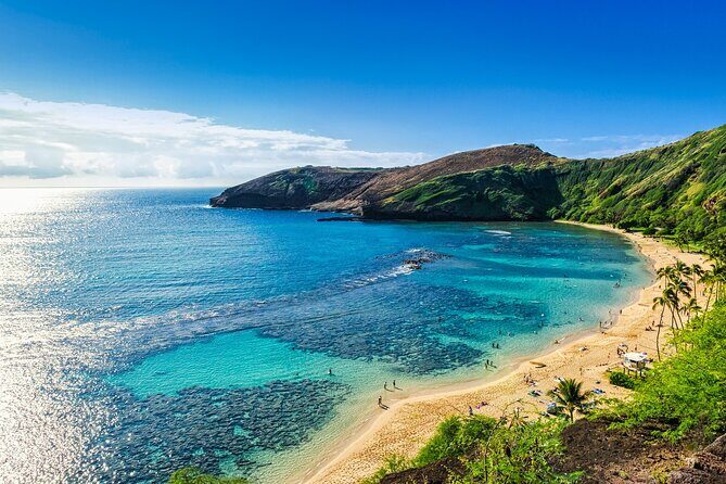 Oahu Highlights Private Tour: Nature, Views & Turtles in 6 Hours - Frequently Asked Questions