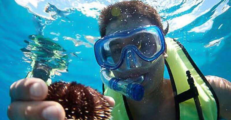 Oahu: Hilton Hawaiian Village Snorkel Tour - Why This Tour Offers Great Value