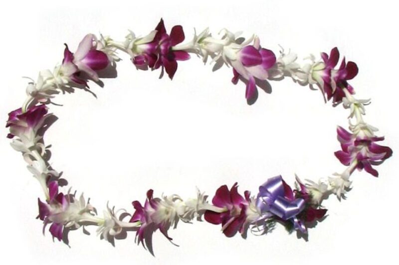 Oahu: Honolulu Airport (HNL) Traditional Lei Greeting - Oahu: Honolulu Airport (HNL) Traditional Lei Greeting