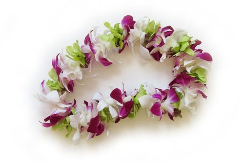 Oahu: Honolulu Airport (HNL) Traditional Lei Greeting - The Brief but Memorable 20 Minutes