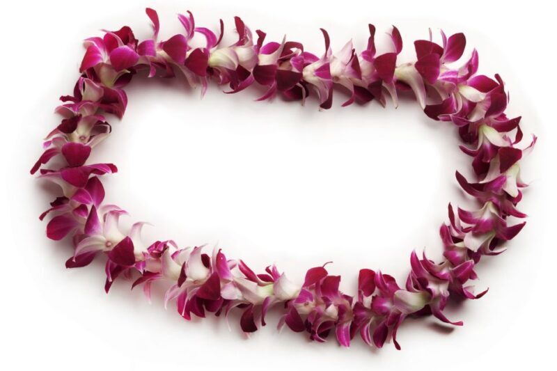 Oahu: Honolulu Airport (HNL) Traditional Lei Greeting - FAQ