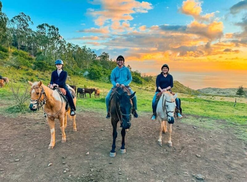 Oahu: Horseback Riding Sunshine or Sunset Tour - A Practical Introduction to the Oahu Horseback Riding Tour